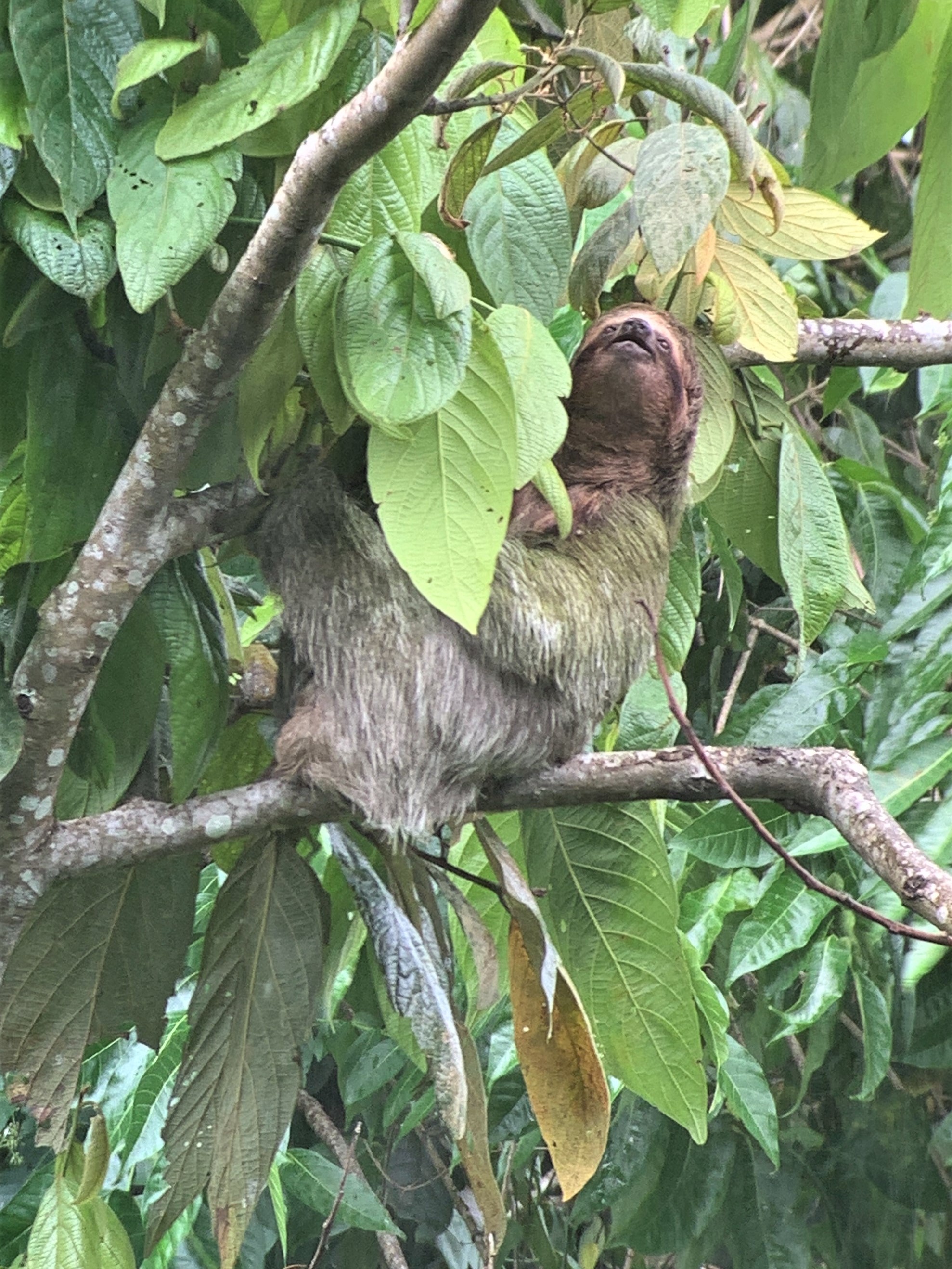 Costa Rica